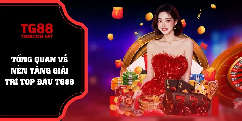 Khái quát chung về sân chơi chất lượng top đầu TG88