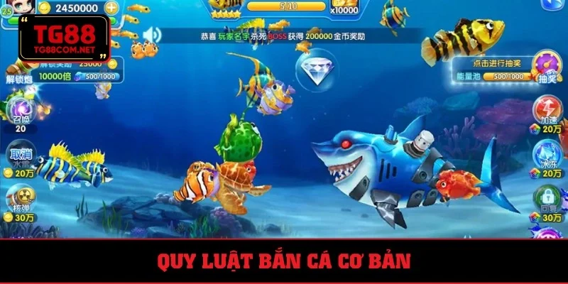 Quy luật siêu dễ, kiếm lời nhanh gọn