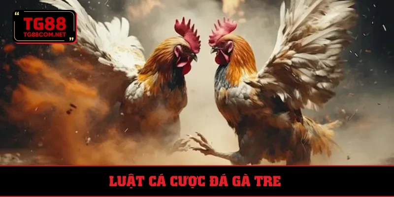Quy tắc cược đá gà tre